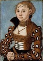 Portrait of a Lady from Saxony