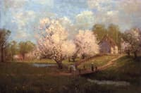 Spring Blossoms
