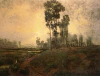 Morning Landscape