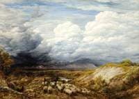 Landscape with Sheep