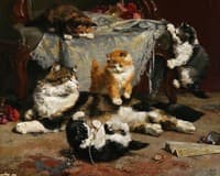 Kittens at Play