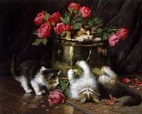 Playful Kittens