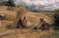 The Cornfield Shelter