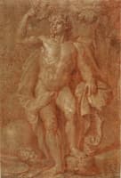 Apollo