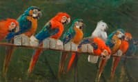 Parrots