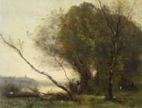 The Bent Tree