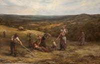 Haying and Playing