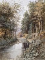 Stream in Sulz-Stangau
