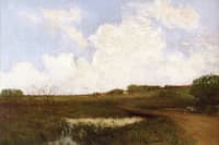 The Road through the Meadow