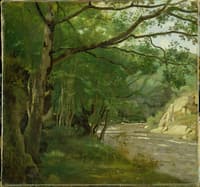 Ravine in the Morvan, near Lormes