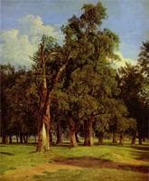 Old Elms in Prater