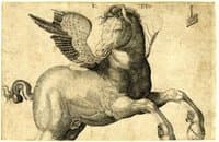 Pegasus