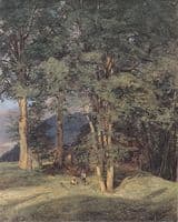 Maple Trees near Ischl