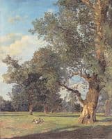 Trees in Prater