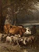 Returning from Market