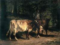 Vaches au paturage
