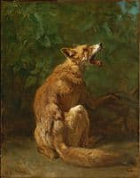 Fox in a Trap