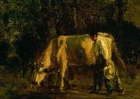 Cows and Cowherd