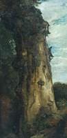 Study of a Tree