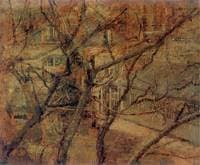 View from the Window