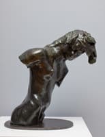 Half Length Figure of a Woman