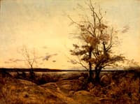Sunset Landscape