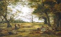 Windsor Forest
