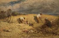 Harvest Scene