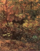 Bosque de Pacho