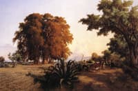Los ahuehuetes de Azcapotzalco