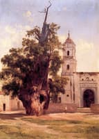 Ahuehuete de la Noche Triste