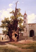 Ahuehuete de la Noche Triste