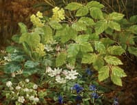 A Forest Floor with Anemones and Violets