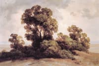 Estudio de árboles