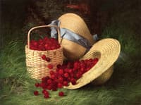 Harvest of Cherries