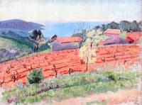 House and Vineyard in the Midi