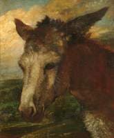 Head of an Ass