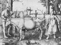 The Milkmaid