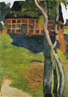 Birch Trees in front of a Barn
