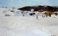 The Skiers