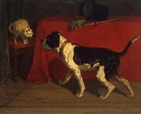 Enemies
