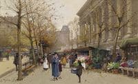 Flower Market