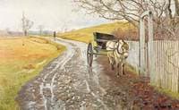 Doctor's Horse