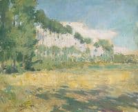 The Poplars