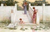Admiring the Swans