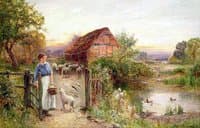 Bringing Home the Sheep