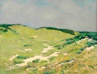 Sand Dunes, Bermuda