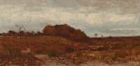 Autumn Landscape