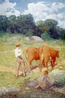 Ploughing for Buckwheat