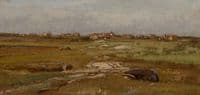 Marsh Landscape